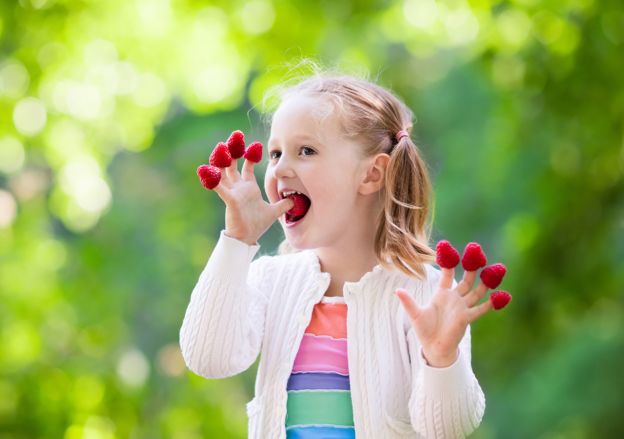 A little girl with a raspberry on each finger about to eat one of them while fruit picking