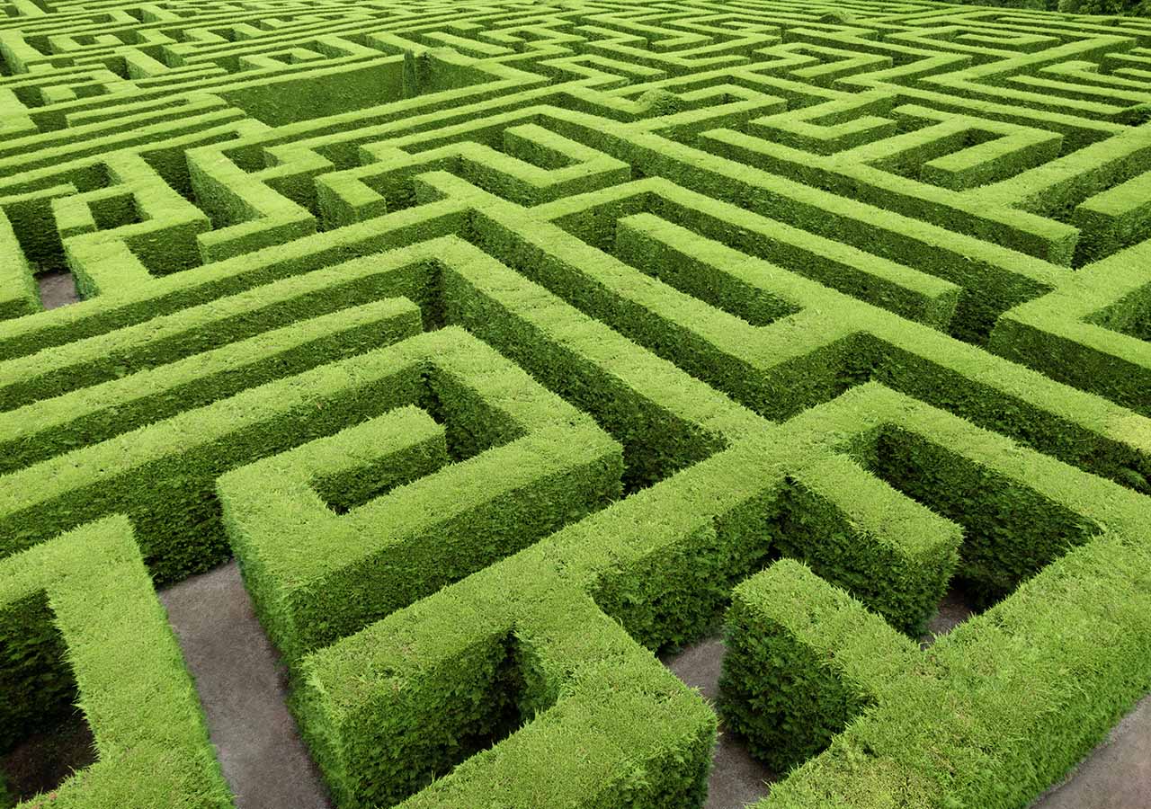 A maze