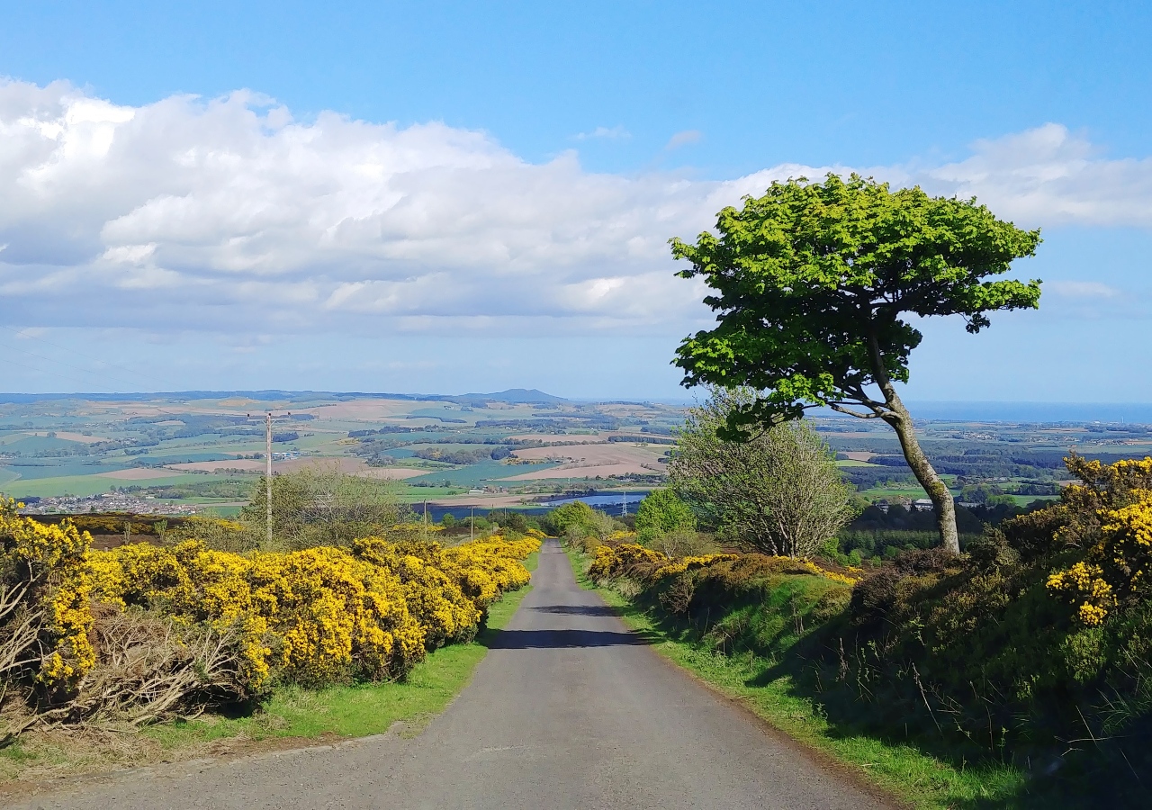 Panoramic view of winding road through fife