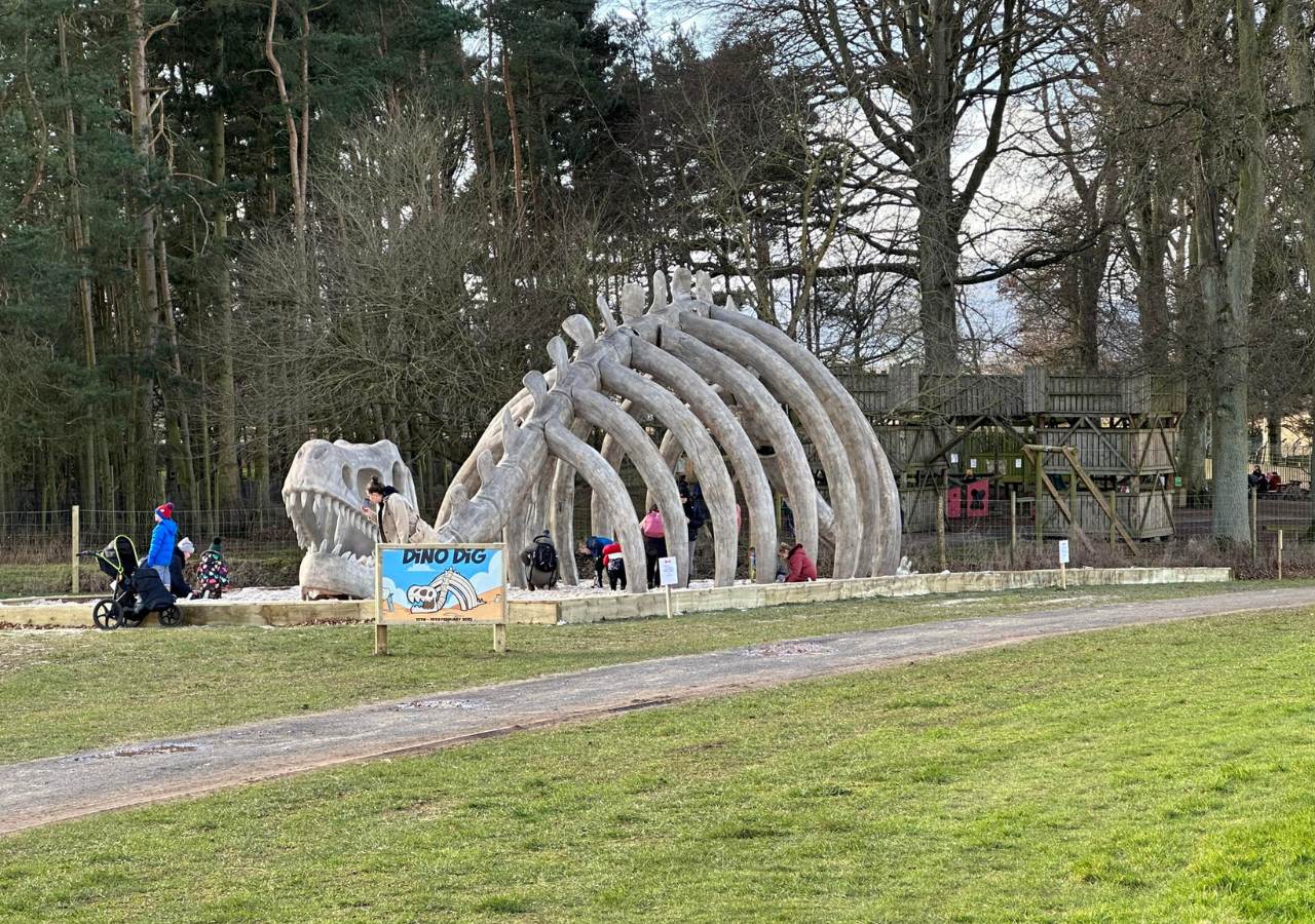 T-Rex Digging site at the Scottish Deer Centre